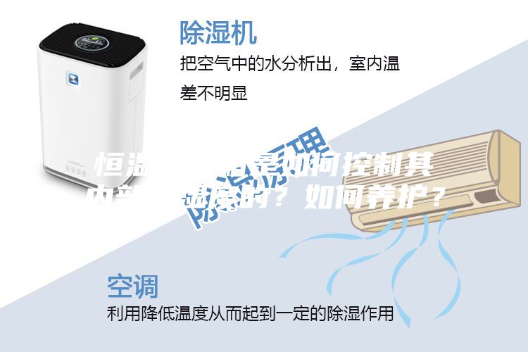 恒溫恒濕箱是如何控制其內(nèi)部溫濕度的？如何養(yǎng)護(hù)？