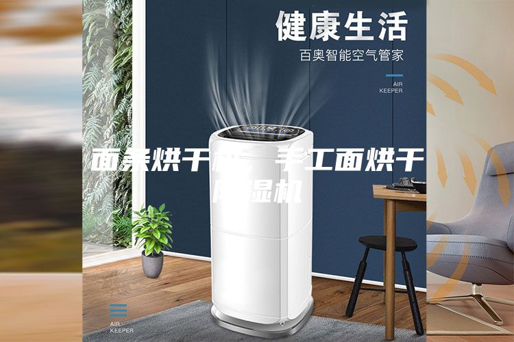 面條烘干機,手工面烘干除濕機