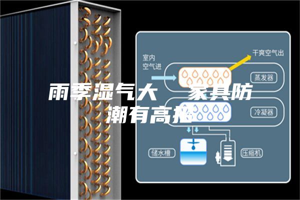 雨季濕氣大 家具防潮有高招