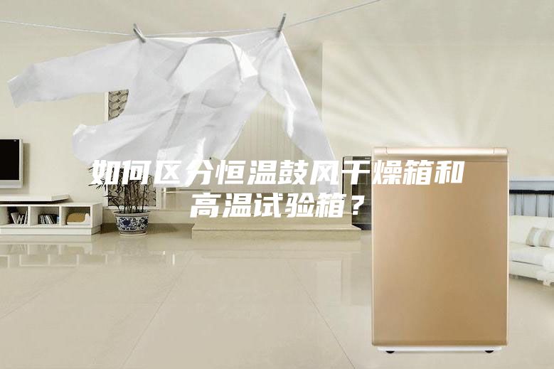 如何區(qū)分恒溫鼓風干燥箱和高溫試驗箱？