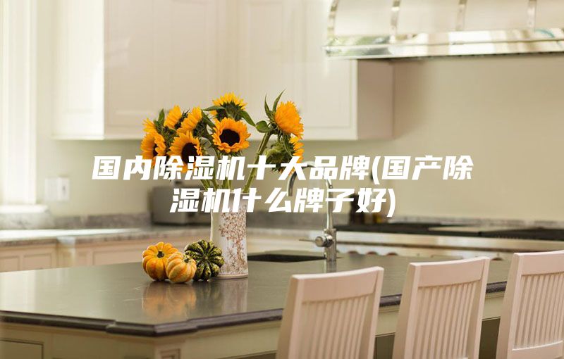 國內除濕機十大品牌(國產(chǎn)除濕機什么牌子好)