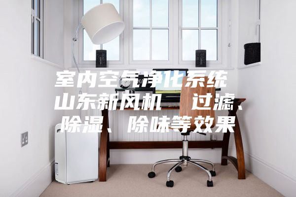 室內空氣凈化系統(tǒng) 山東新風機  過濾、除濕、除味等效果