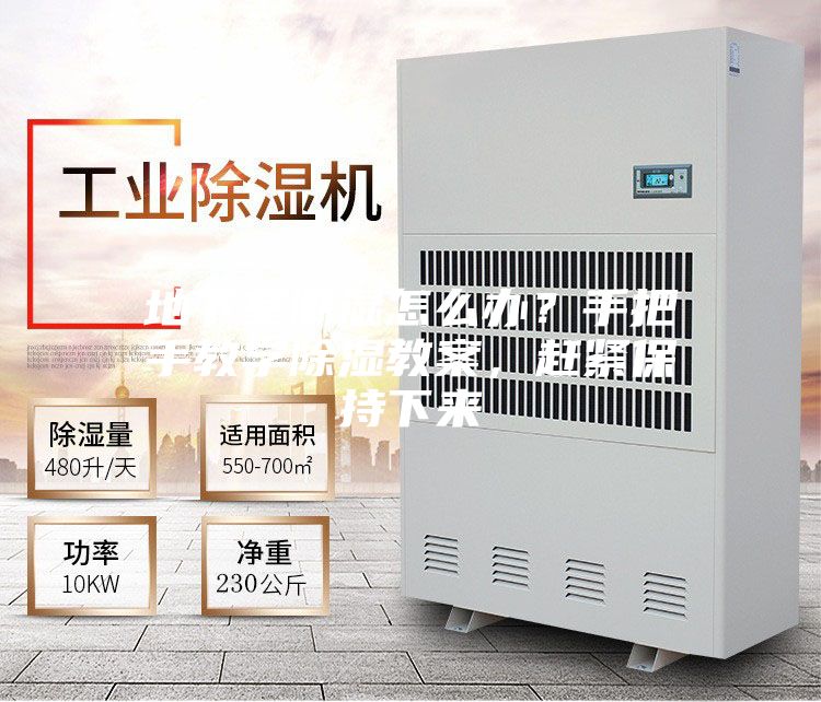 地下室潮濕怎么辦?手把手教學除濕教案,趕緊保持下來