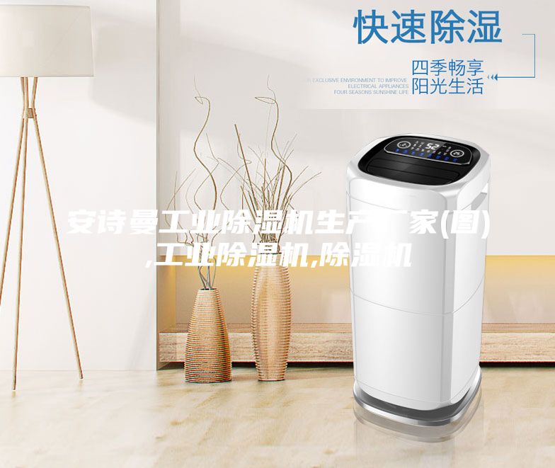 安詩曼工業(yè)除濕機生產廠家(圖),工業(yè)除濕機,除濕機