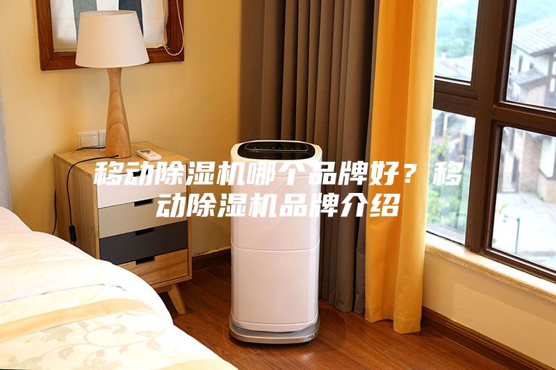 移動(dòng)除濕機(jī)哪個(gè)品牌好？移動(dòng)除濕機(jī)品牌介紹