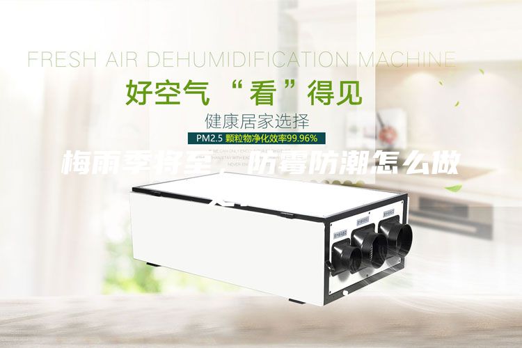 梅雨季將至，防霉防潮怎么做更有效？