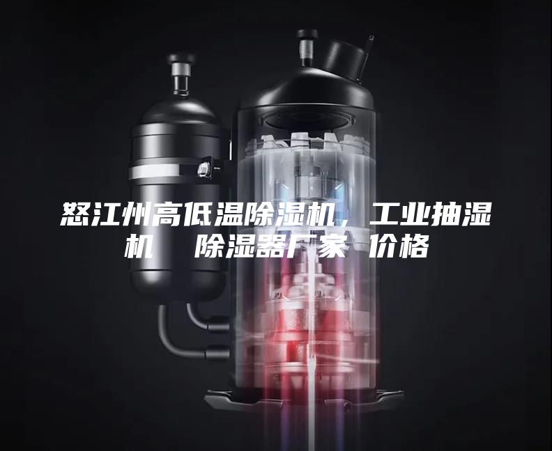 怒江州高低溫除濕機(jī)，工業(yè)抽濕機(jī)  除濕器廠家 價(jià)格