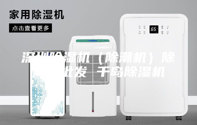 深圳除濕機(除潮機)除濕機批發 千島除濕機