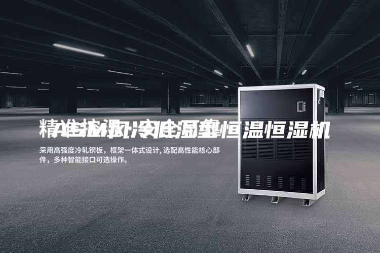 ASM風冷低濕型恒溫恒濕機