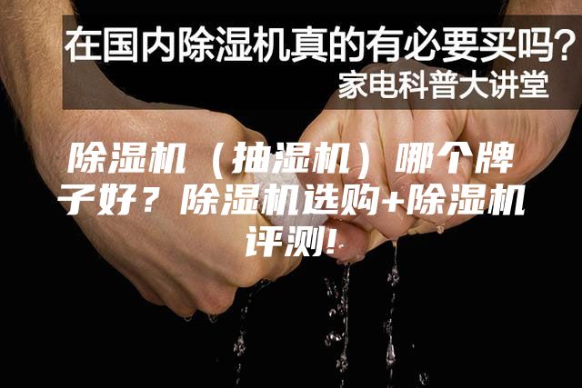 除濕機(jī)（抽濕機(jī)）哪個(gè)牌子好？除濕機(jī)選購+除濕機(jī)評測!