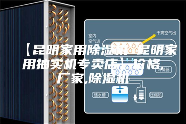 【昆明家用除濕機(jī) 昆明家用抽實機(jī)專賣店】價格,廠家,除濕機(jī)