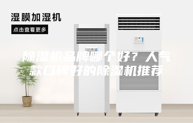 除濕機(jī)品牌哪個(gè)好?人氣款口碑好的除濕機(jī)推薦