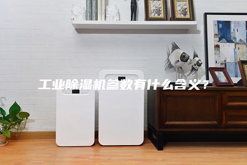 工業除濕機參數有什么含義？