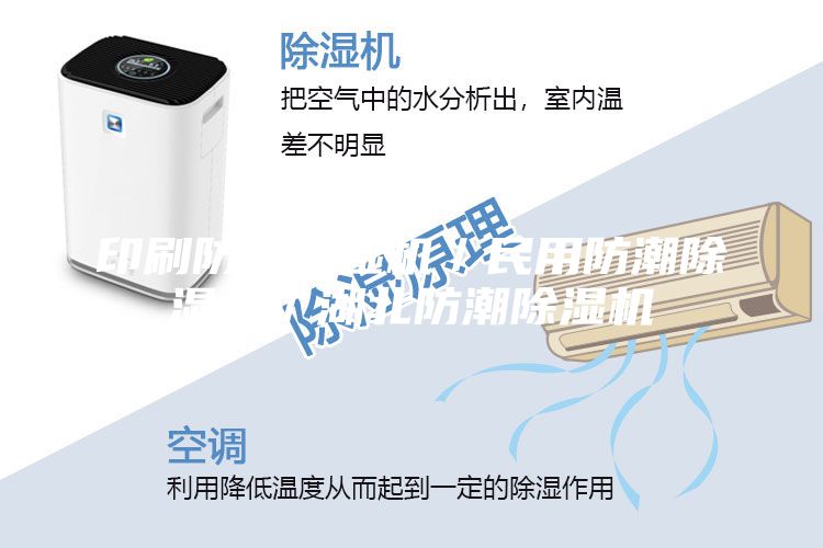 印刷防潮除濕機/民用防潮除濕機/湖北防潮除濕機