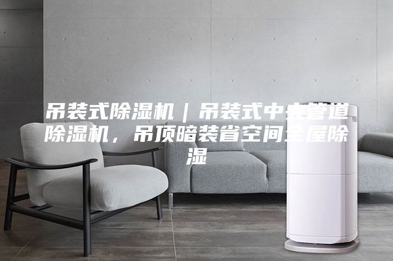 吊裝式除濕機｜吊裝式中央管道除濕機，吊頂暗裝省空間全屋除濕