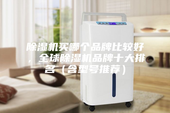 除濕機買哪個品牌比較好，全球除濕機品牌十大排名（含型號推薦）