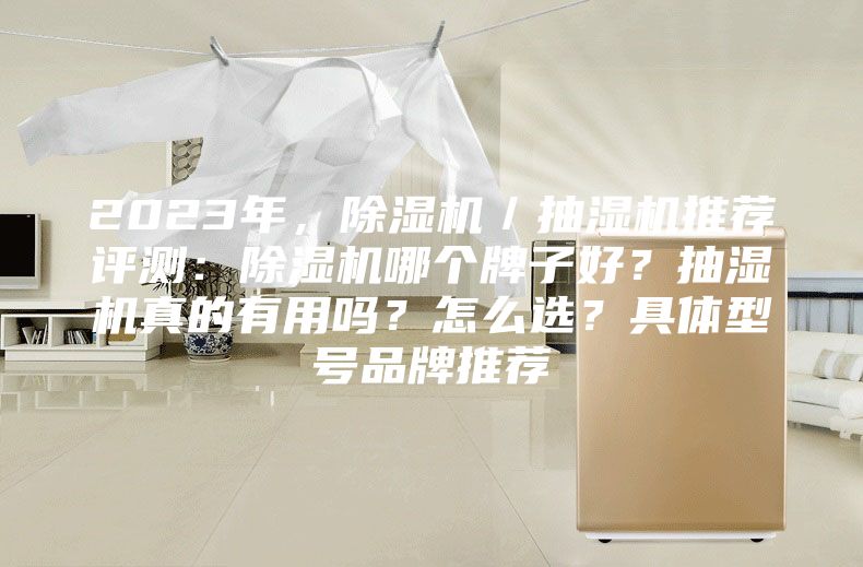 2023年，除濕機／抽濕機推薦評測：除濕機哪個牌子好？抽濕機真的有用嗎？怎么選？具體型號品牌推薦