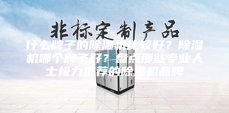 什么牌子的除濕機比較好?除濕機哪個牌子好?盤點那些專業人士極力推薦的除濕機品牌