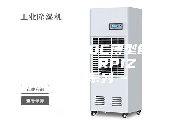 天花板內置DC薄型自動除濕風管機 RPIZ(D)系列