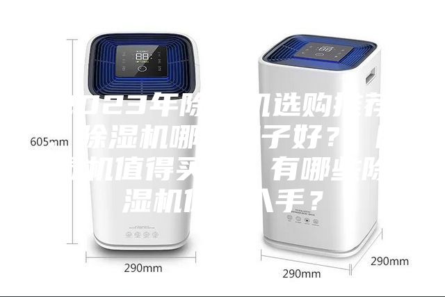 2023年除濕機選購推薦：除濕機哪個牌子好？ 除濕機值得買嗎？有哪些除濕機值得入手？