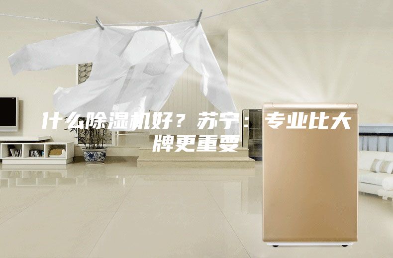 什么除濕機好？蘇寧：專業比大牌更重要
