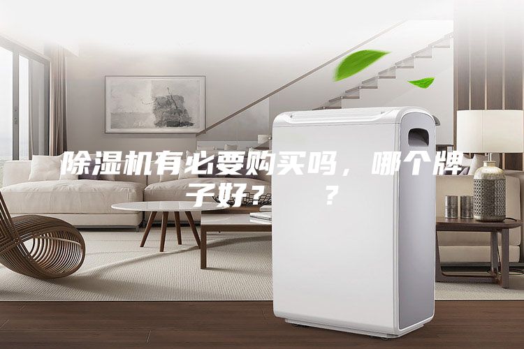 除濕機有必要購買嗎，哪個牌子好？  ？