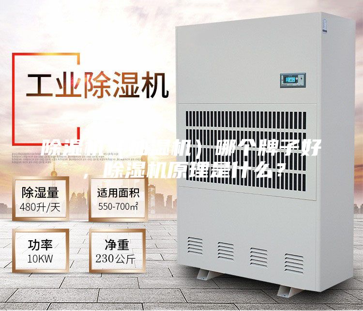 除濕機（抽濕機）哪個牌子好，除濕機原理是什么？