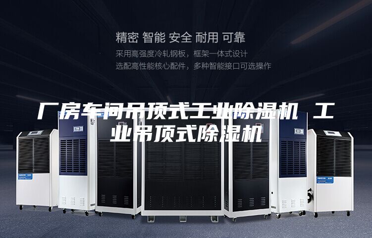 廠房車間吊頂式工業(yè)除濕機 工業(yè)吊頂式除濕機