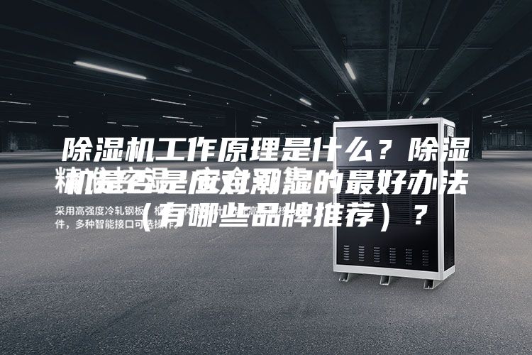 除濕機工作原理是什么?除濕機是否是應對潮濕的最好辦法(有哪些品牌推薦)?
