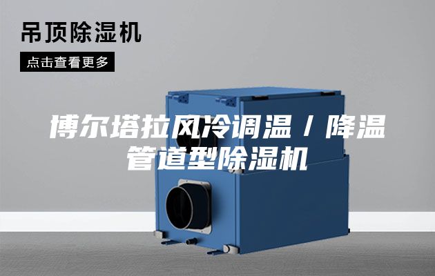 博爾塔拉風(fēng)冷調(diào)溫/降溫管道型除濕機(jī)