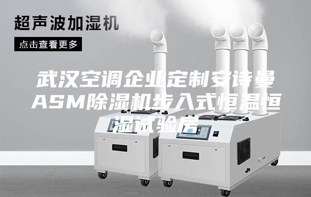 武漢空調(diào)企業(yè)定制安詩曼ASM除濕機(jī)步入式恒溫恒濕試驗(yàn)房