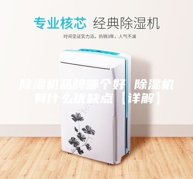 除濕機(jī)品牌哪個(gè)好 除濕機(jī)有什么優(yōu)缺點(diǎn)【詳解】