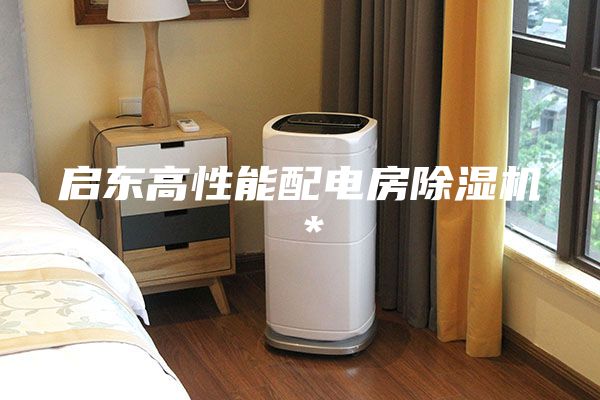 啟東高性能配電房除濕機*