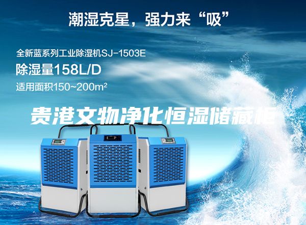 貴港文物凈化恒濕儲(chǔ)藏柜