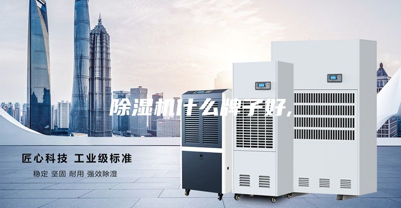 除濕機(jī)什么牌子好,