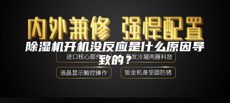 除濕機開機沒反應是什么原因導致的?
