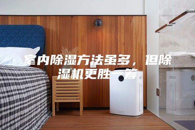 室內(nèi)除濕方法雖多，但除濕機(jī)更勝一籌