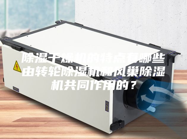 除濕干燥機的特點有哪些由轉輪除濕機和風巢除濕機共同作用的？