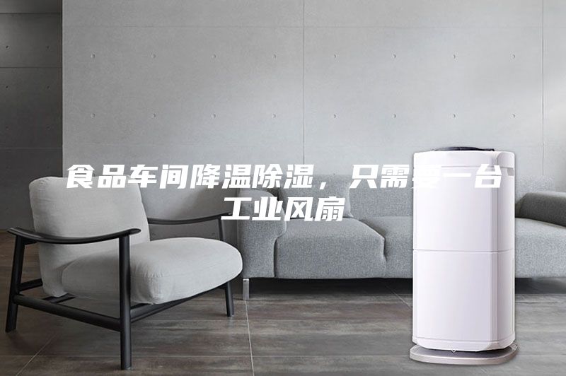 食品車間降溫除濕，只需要一臺工業風扇