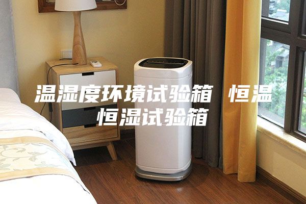 溫濕度環(huán)境試驗箱 恒溫恒濕試驗箱
