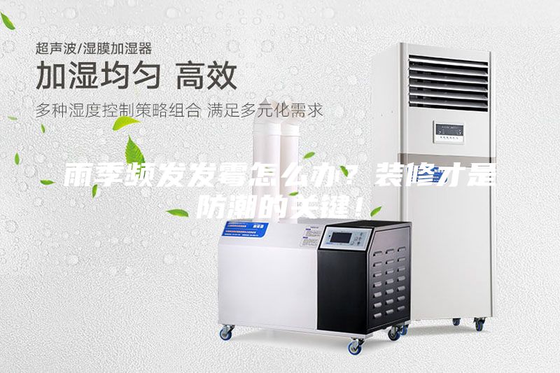 雨季頻發發霉怎么辦？裝修才是防潮的關鍵！