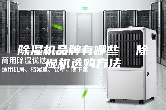 除濕機(jī)品牌有哪些 除濕機(jī)選購(gòu)方法
