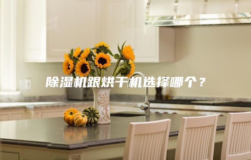 除濕機跟烘干機選擇哪個？