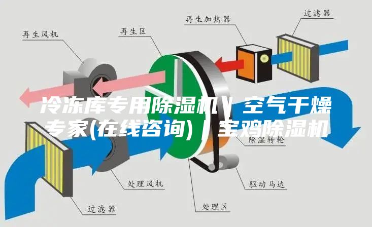 冷凍庫專用除濕機|空氣干燥專家(在線咨詢)|寶雞除濕機