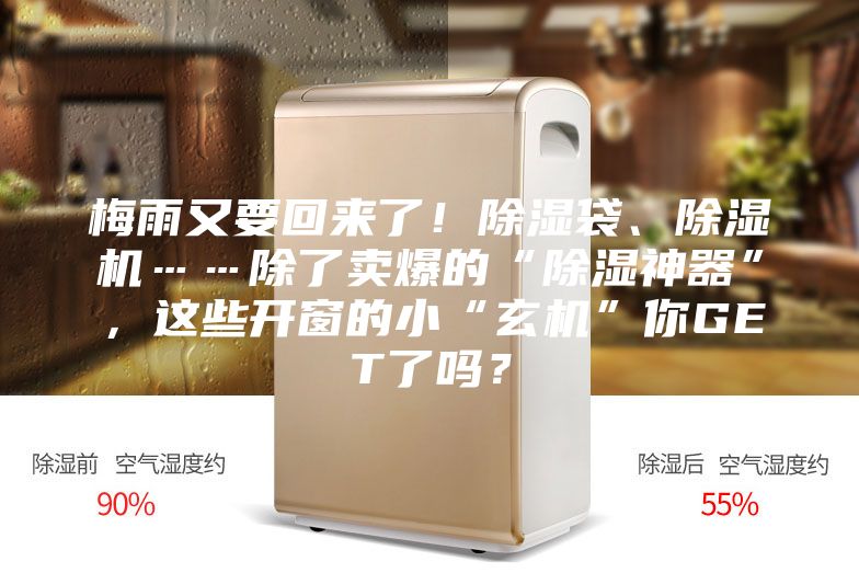 梅雨又要回來了!除濕袋、除濕機……除了賣爆的“除濕神器”,這些開窗的小“玄機”你GET了嗎?