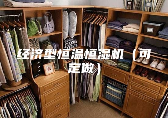 經濟型恒溫恒濕機(可定做)