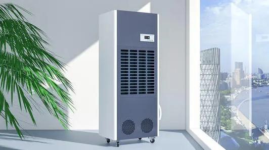 羊毛出在羊身上，超低價除濕機謹慎選