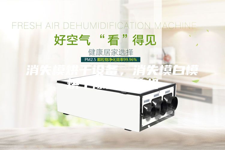 消失模烘干設備，消失模白模烘干除濕一體機