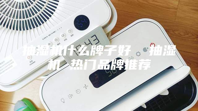 抽濕機什么牌子好 抽濕機 熱門品牌推薦