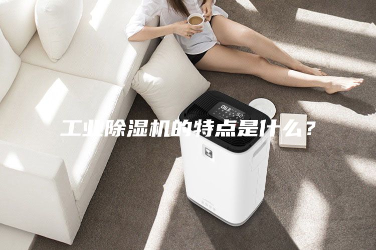 工業除濕機的特點是什么?